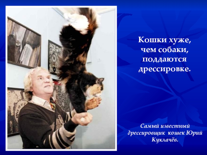 Кошки хуже, чем собаки, поддаются дрессировке. Самый известный дрессировщик кошек Юрий Куклачёв.