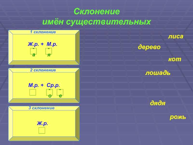 Лошадь склонение. Дерево склонение. Дерево склонение существительного. Кот склонение. 1 Склонение.