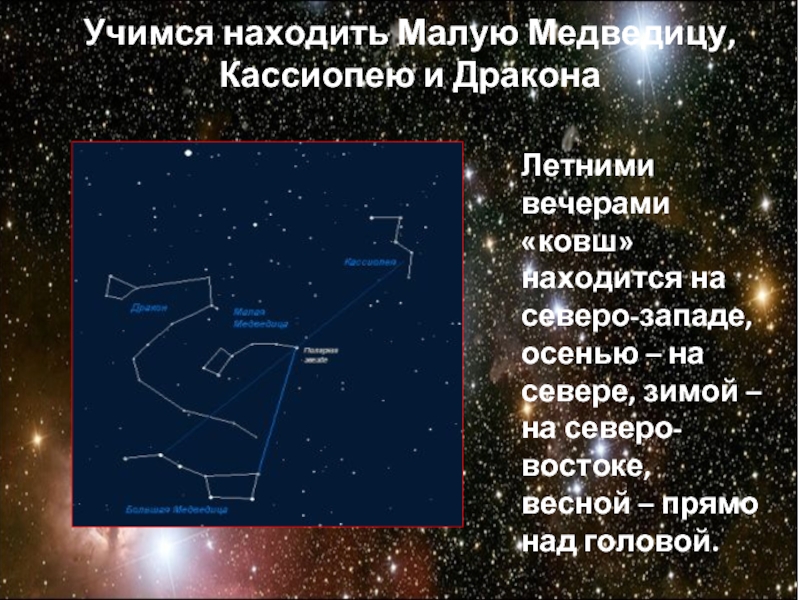 Большая медведица осенью. Кассиопея и малая Медведица. Ковш малой медведицы зимой. Малая Медведица осенью. Ковш медведицы Кассиопея.