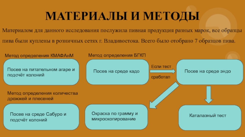 Материалы и методы. Методы анализа пива. Материалы и методы исследования качества пива. Материалом исследования послужили. Параметры оценки пива.