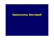 3Цитогенетика прокариот