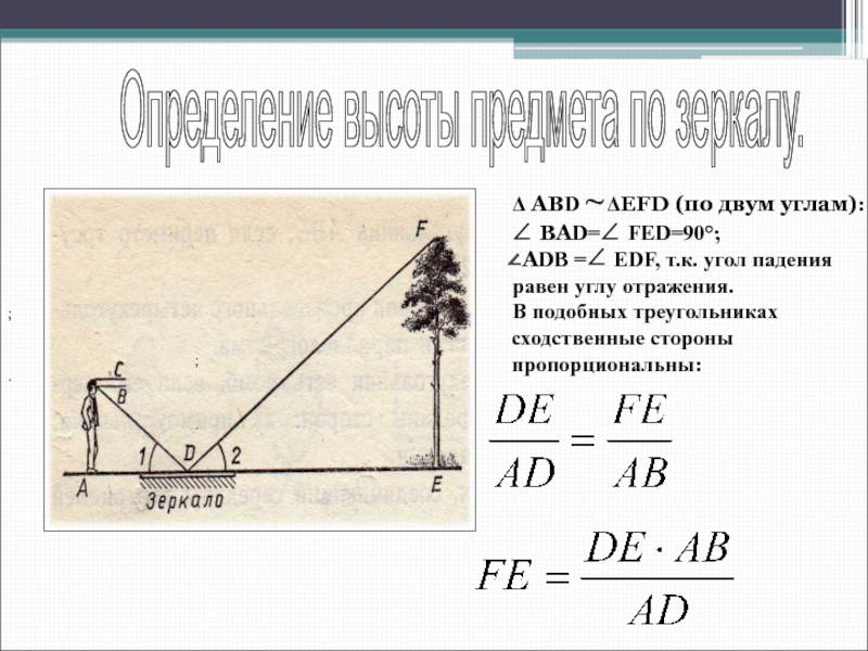 Высота предмета. Измерение высоты предмета по тени. Определить на местности высоту предмета. Определение высоты дерева с помощью зеркала. Определение высоты предмета по его тени.