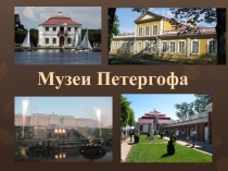 Музеи Петергофа