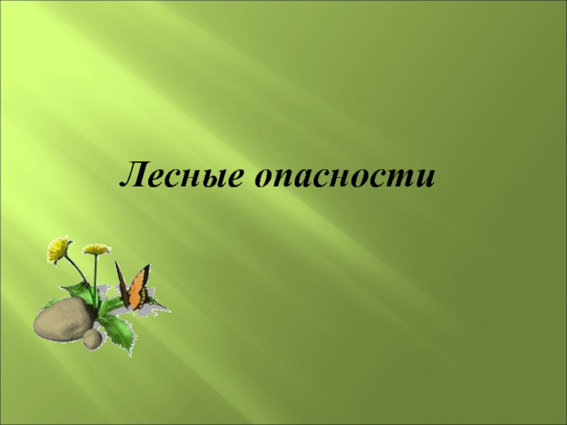 Проект подробнее о лесных опасностях по окружающему 2 класс