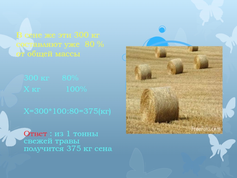 Решение задач на сухое вещество. Сколько всего тон сена в Украина.
