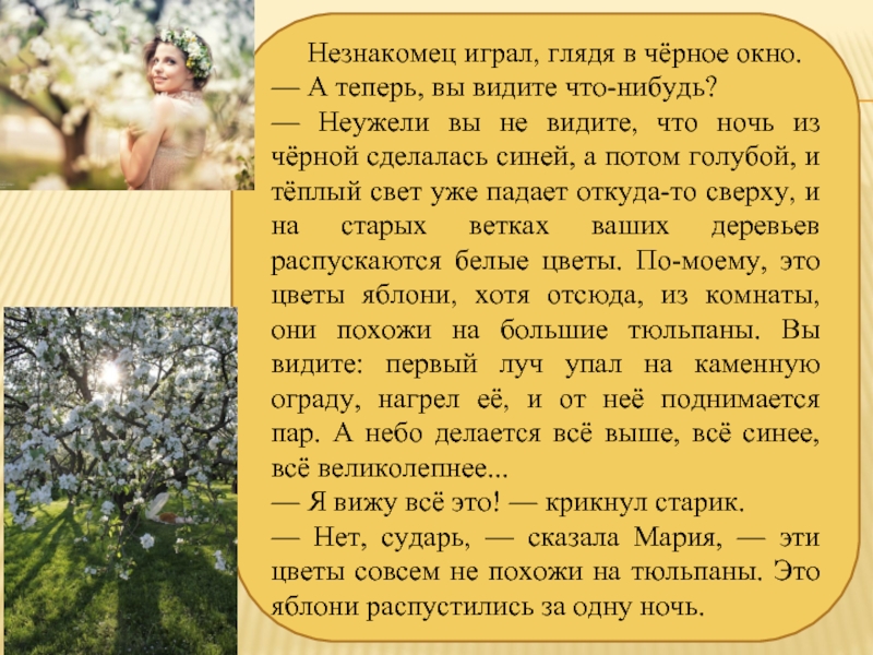 Старый повар краткое. К. Паустовский старый повар презентация. Рассказ Константина Паустовского старый повар. Паустовский старый повар краткое содержание. Краткое содержание Паустовский старый.