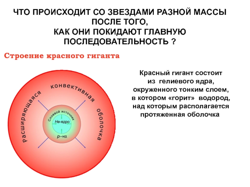 Звезды главной последовательности презентация