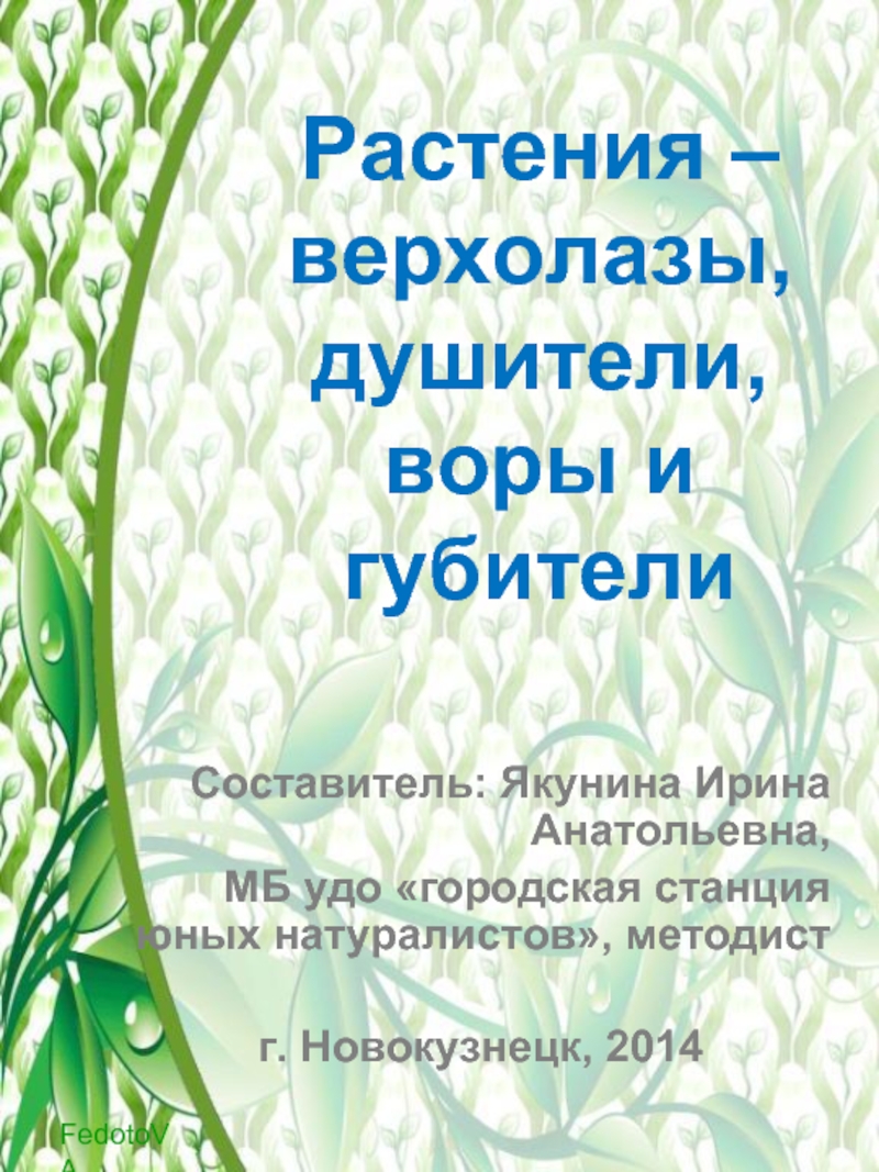 Презентация Флора и фауна Кузбасса