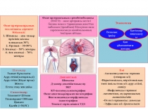 Өкпе артерияларының окклюзиясы д ə режесі бойынша : 1. Шамалы – қан тамыр