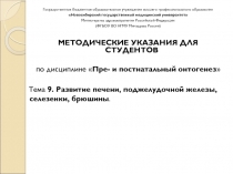 Государственное бюджетное образовательное учреждение высшего профессионального