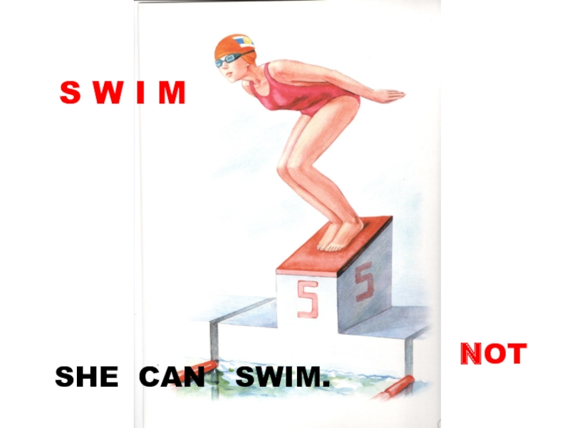 S W I MSHE CAN  SWIM.NOT