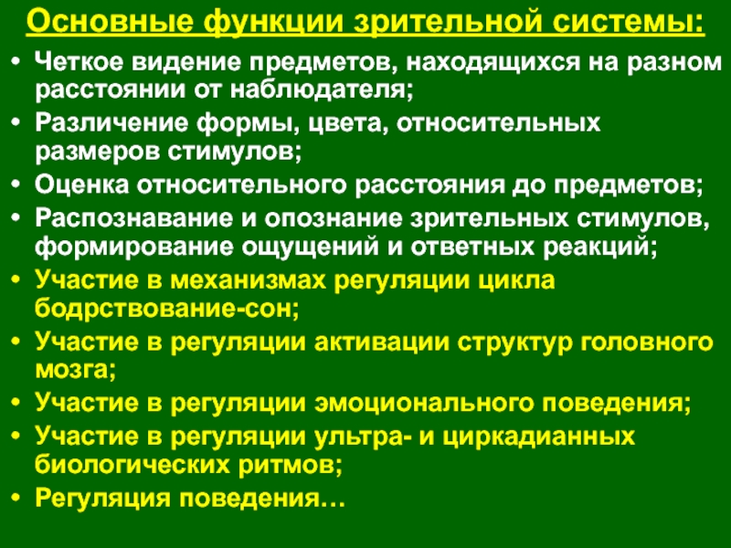 Где происходит окончательное различение изображения