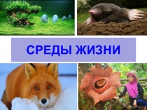 среды жизни