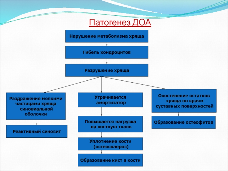 Патогенез остеоартроза презентация