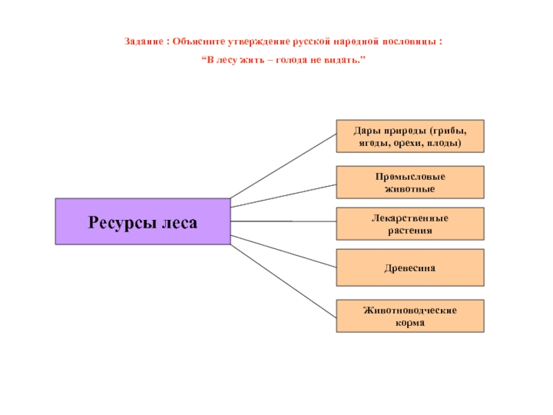 Объясни утверждение. Как вы понимаете пословицу в лесу жить - голода не видать.