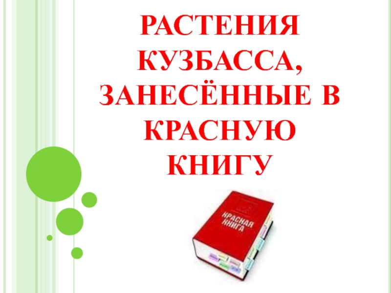 Презентация Растения Кузбасса, занесённые в Красную книгу 1 класс