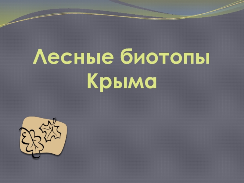 Лесные биотопы  Крыма