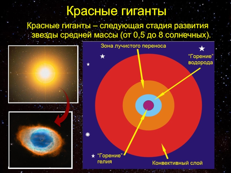 Строение звезды картинка