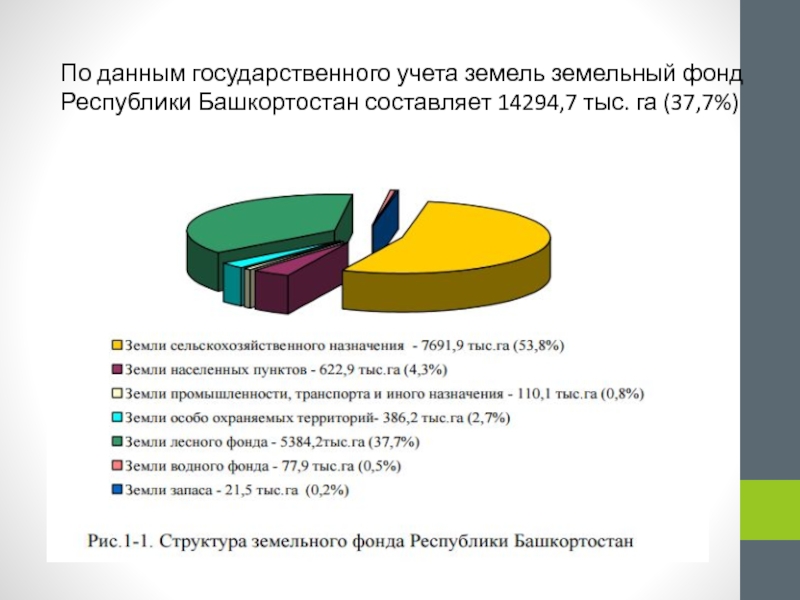 Понятие и состав земель лесного фонда презентация