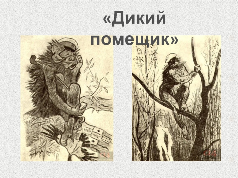 Дикий помещик 7 класс. М.Е Салтыков-Щедрин дикий помещик. Дикий помещик. Дикий помещик фильм. Дикий помещик тема.