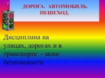 Юные инспектора дорожного движения