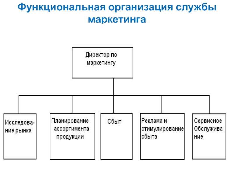 Проект связанный с созданием маркетингового отдела на мебельной фабрике является