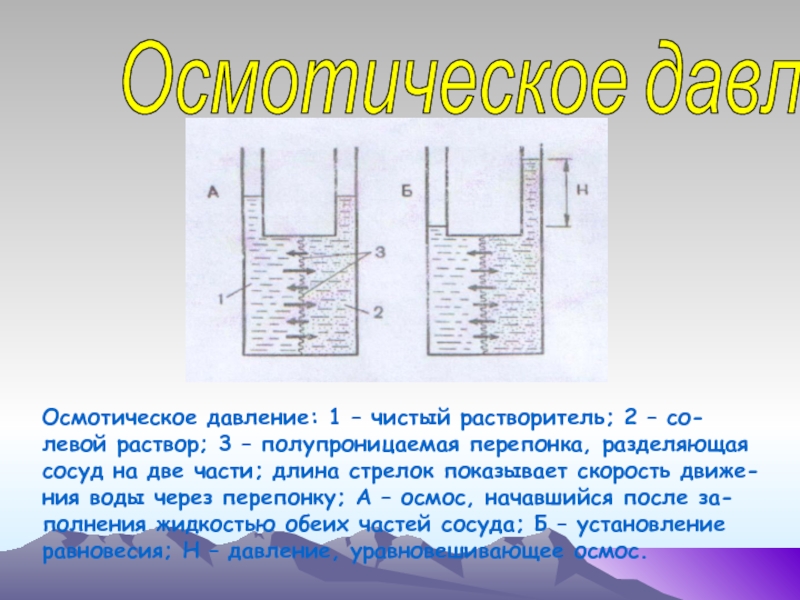 Осмотическая электростанция проект по физике