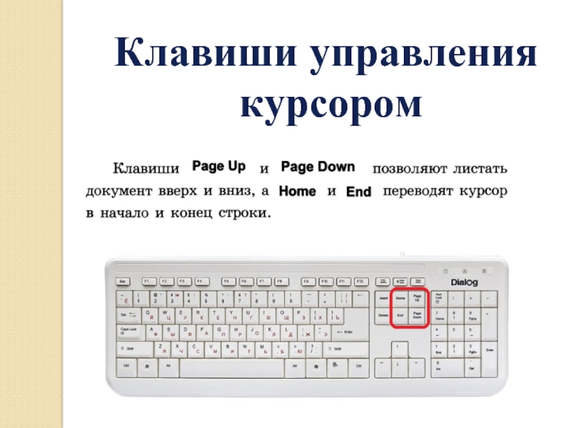 Какая клавиша относится к клавишам управления курсором