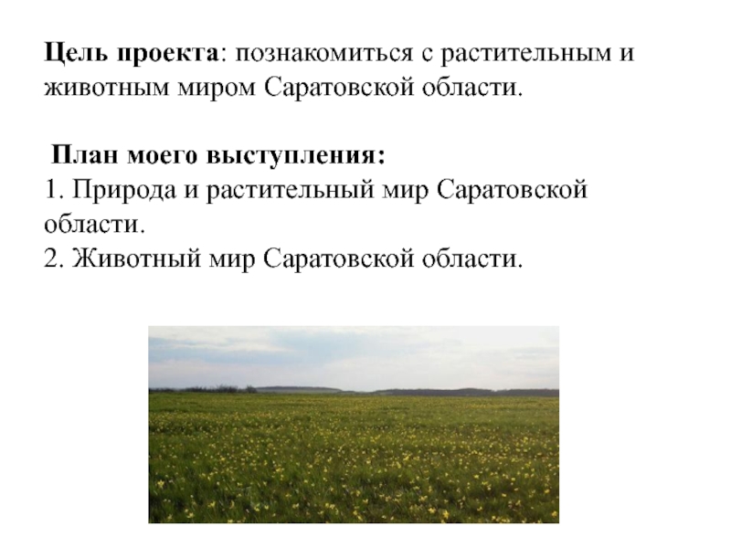 Разнообразие природы оренбургской области 3 класс окружающий мир проект