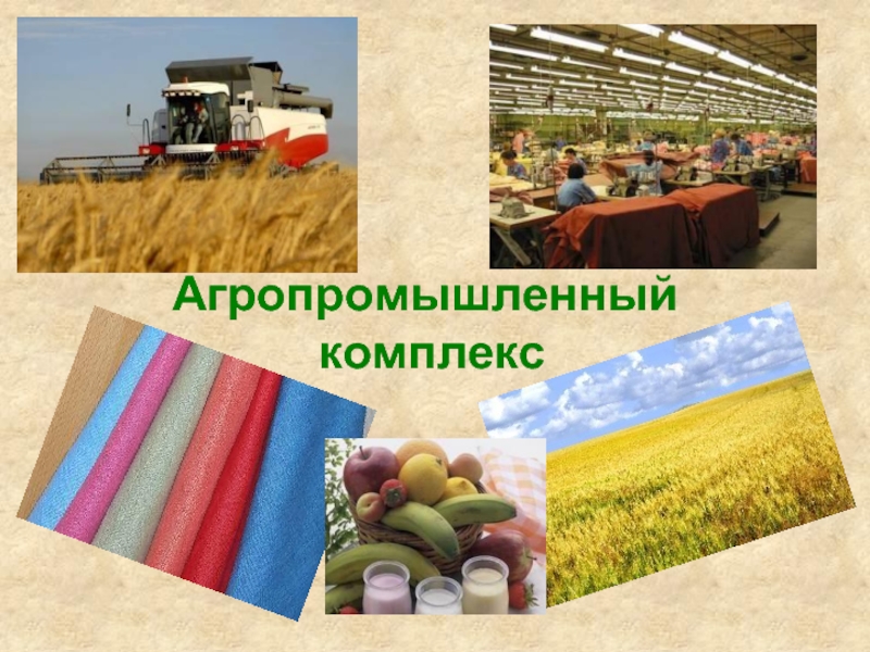 Презентация Агропромышленный комплекс России