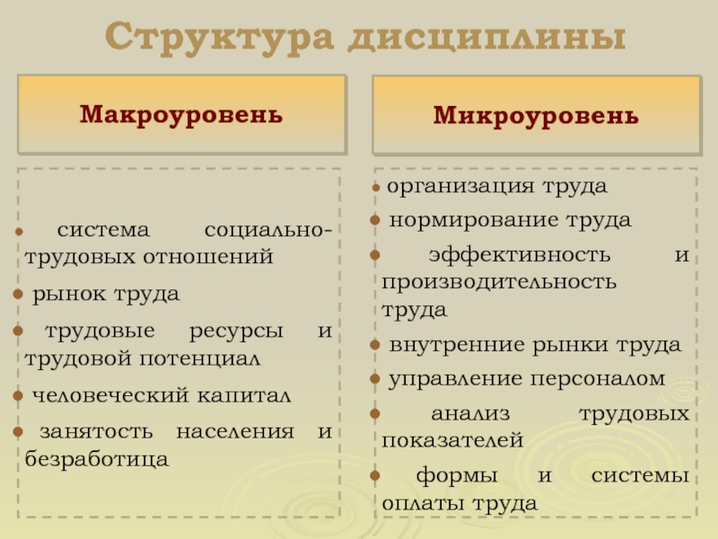 Структура дисциплины