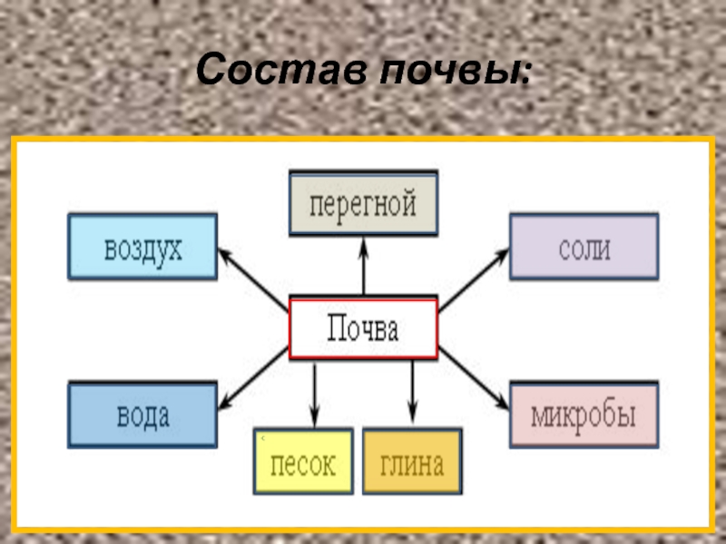 Состав почвы 3 класс окружающий мир схема