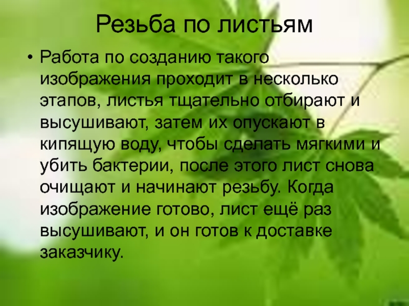 Работа листьев. Работа с листьями. Правила работы с листьями. Изобразить на листочек этапы деятельности.. Изобразить на листочек этапы деятельности человека.