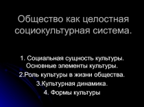 Общество как целостная социокультурная система