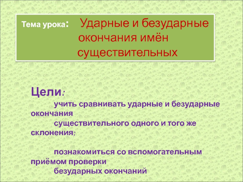 Презентация Ударные и безударные окончания имён существительных 4 класс