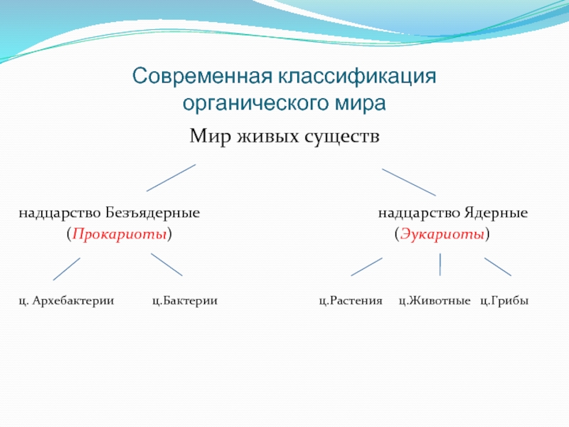 Новая система органического мира презентация 10 класс