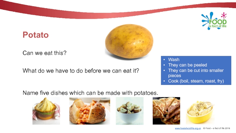 We eat перевод. Interesting facts about food. What do we eat. Name 5 food. Interesting facts Life.