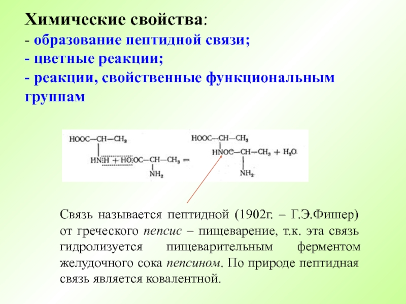Кач реакции. Химические свойства аминокислот образование пептидной связи. Пептидная связь химическая структура. Характеристика пептидной связи. Реакция образования пептидной связи.