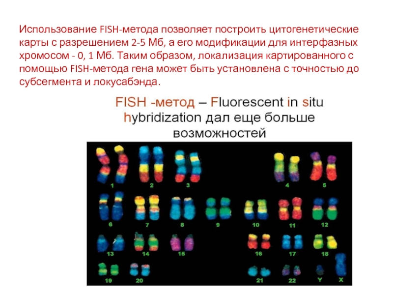 Физическая карта хромосом
