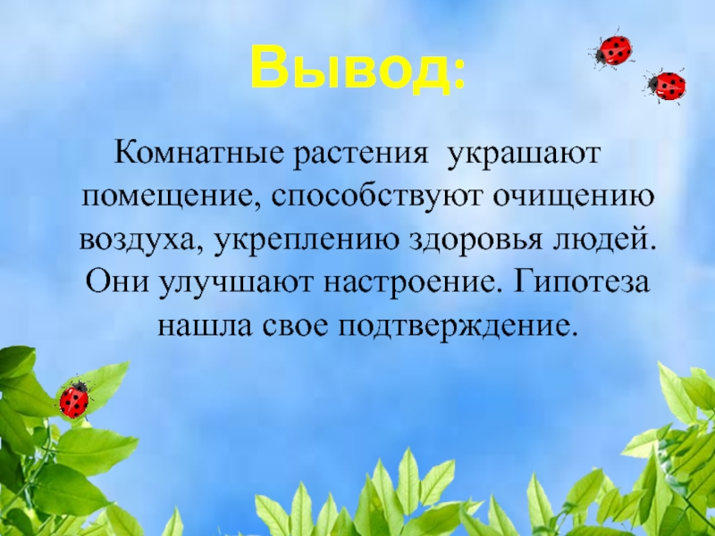 Актуальность проекта комнатные растения