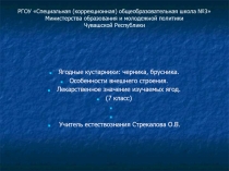 Ягодные кустарники: черника, брусника. Особенности внешнего строения 7 класс