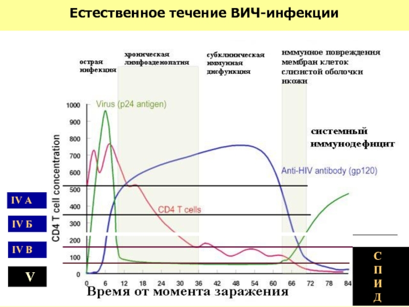 Естественное течение. Естественное течение ВИЧ. Течение ВИЧ инфекции. Естественное течение ВИЧ инфекции презентация. Течение ВИЧ инфекции график.