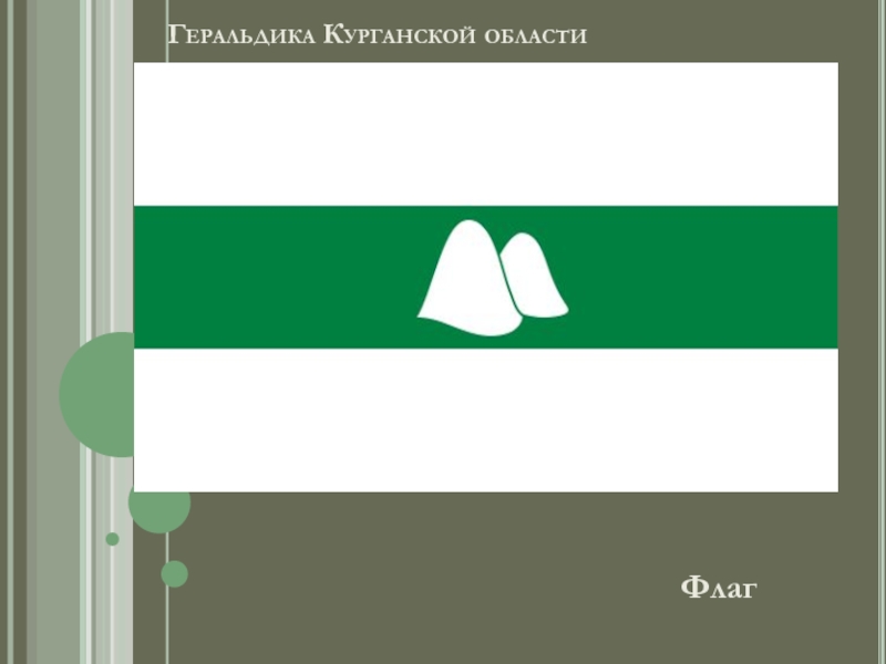 Геральдика Курганской областиФлаг