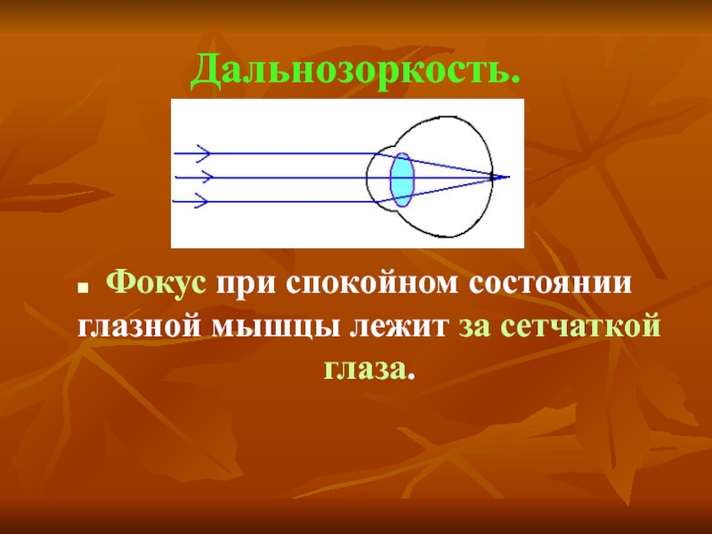 Презентация по физике 8 класс на тему глаз