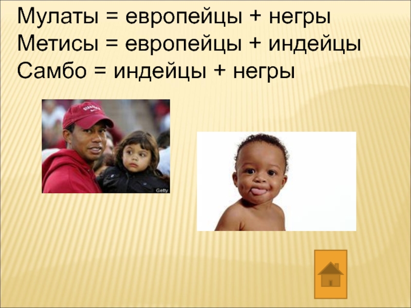 Мулаты описание. Метисы Мулаты самбо. Негр и европеец. Смешанная раса Мулаты. Смешанные расы Мулаты.