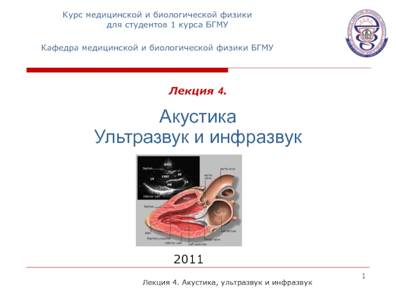 Лекция 4. Акустика Ультразвук и инфразвук