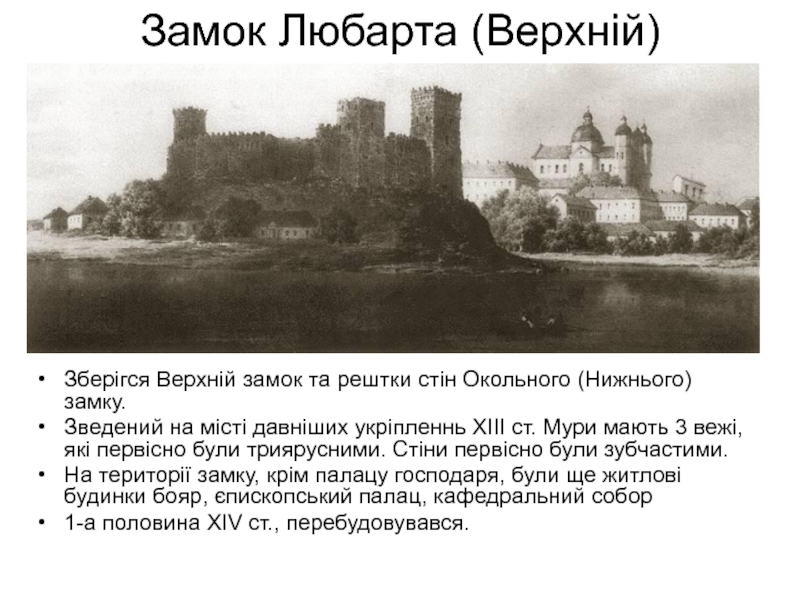 Реферат: Галицько - Волинське князівство в кінці XIII- на початку XIV ст