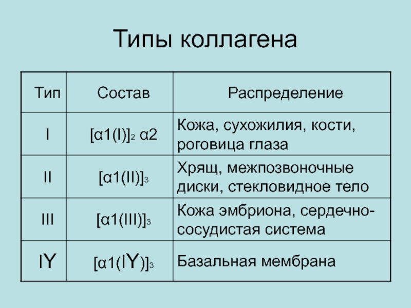 4 вид 2. Типы коллагена. Типы коллагена таблица. Типы коллагена и их функции. Основные типы коллагена по функциям.