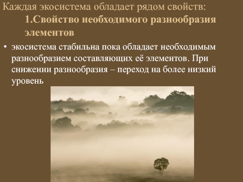 Обладающее свойством 1. Возраст обладает рядом свойств:.