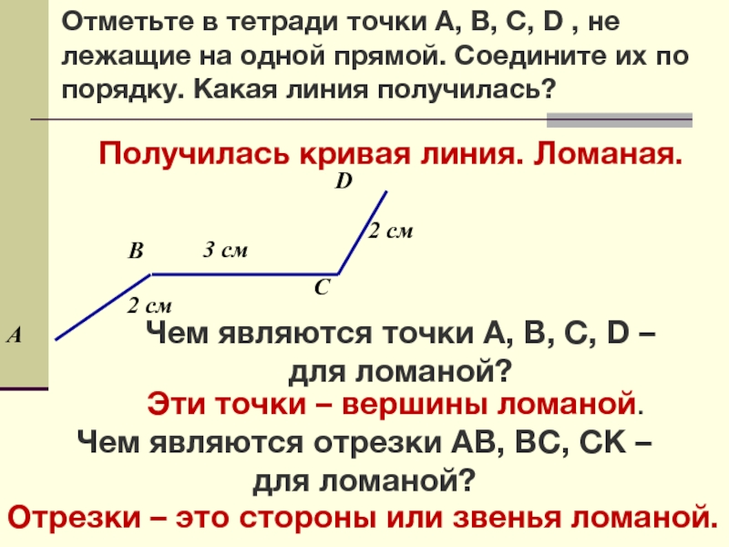 Отметьте в тетради точки А, В, С, D , не лежащие на одной прямой. Соедините их по